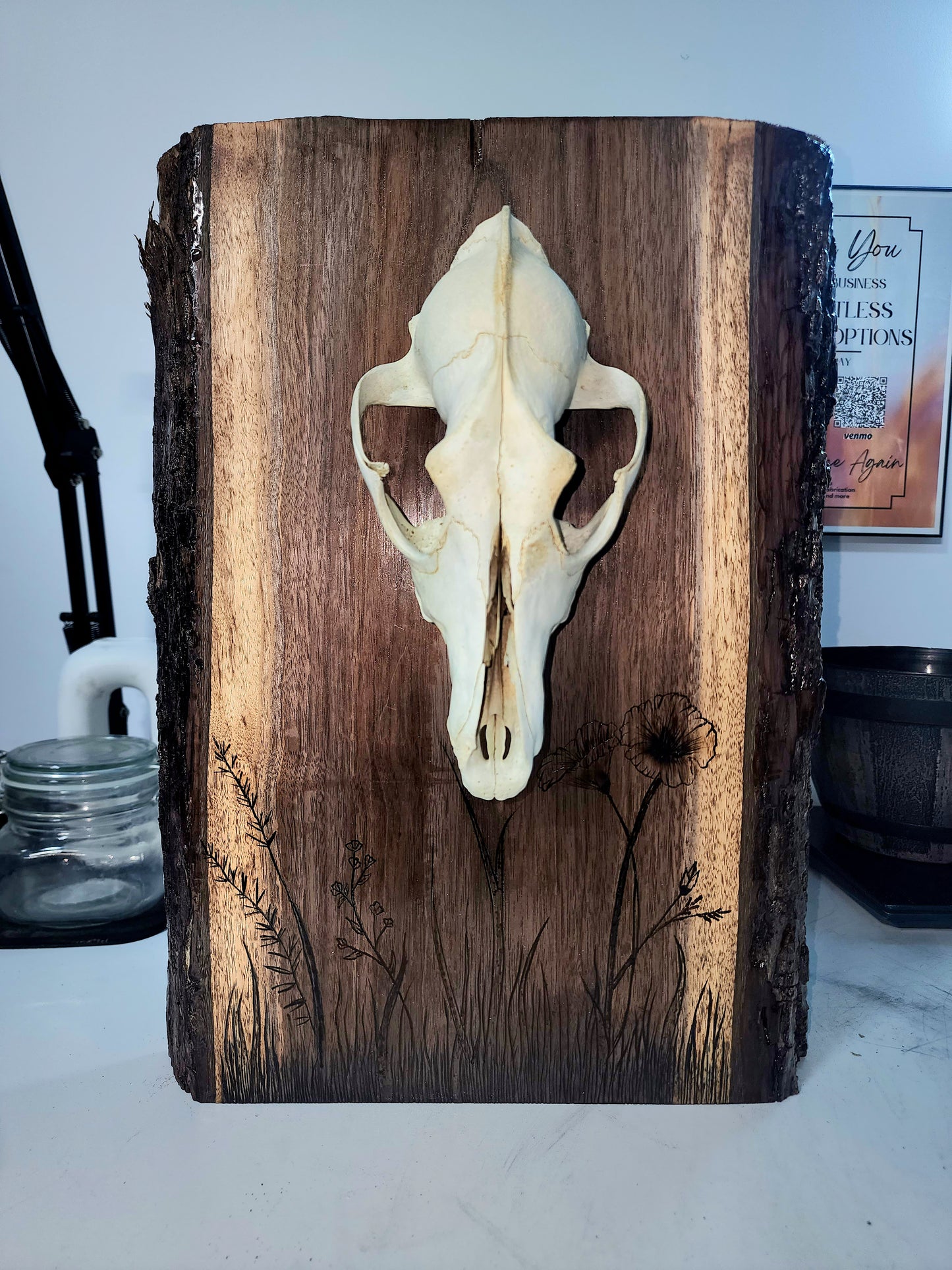 Wood Burn Standing Mount with Coyote Skull